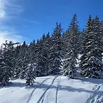 Alpinresort 3 *