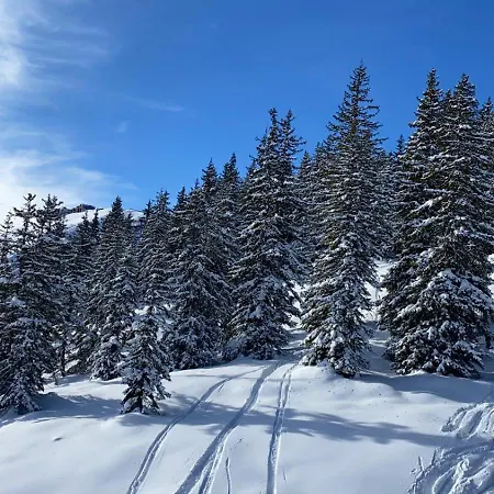 Alpinresort 3 *