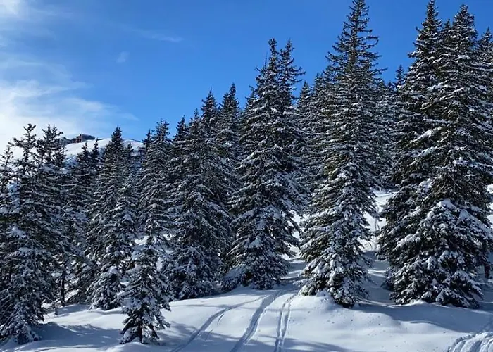 Alpinresort 3 *